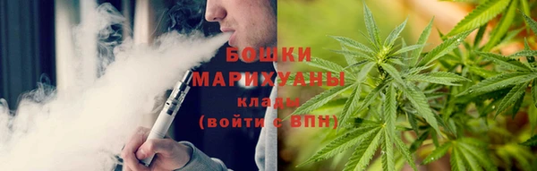 мдпв Михайлов