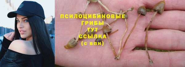 мдпв Михайлов