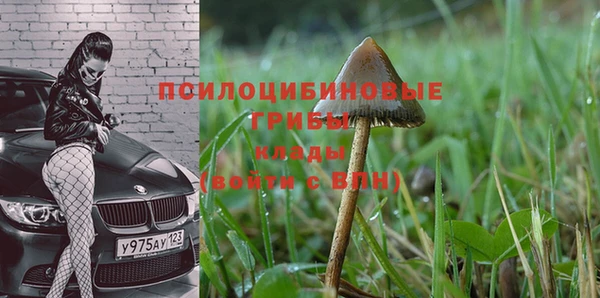спайс Михайловск