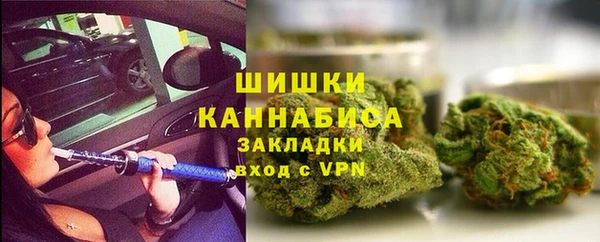 мдпв Михайлов
